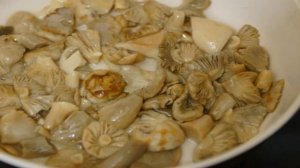 Жареные лесные грибы