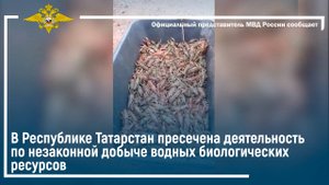 В Республике Татарстан пресечена деятельность по незаконной добыче водных биологических ресурсов
