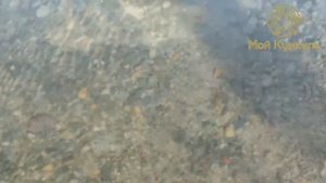 ДНТ «Мой Кумкуль» 20-08-2025