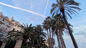 723.Доказано: мечты сбываются!😊