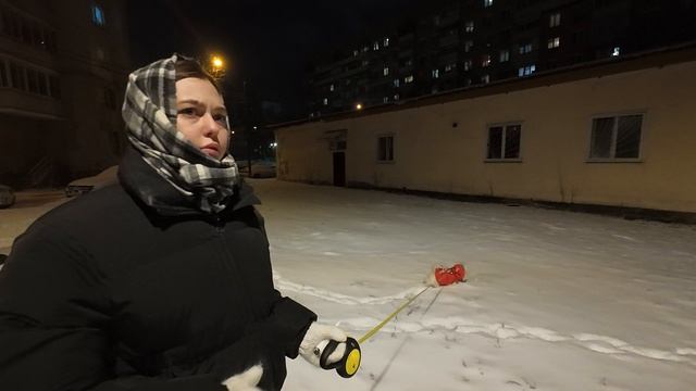 видеожизнь 19 фев 2025