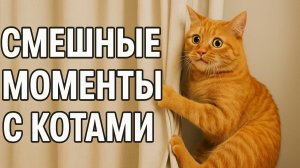 Смех до слёз: лучшие приколы №182