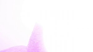 Стул Пьер обзорный