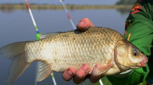 Рыбалка в дождь и ночью,поймал килограммового карася на килограмм,на озере