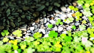 Chill mod 1.3🍀 Download in the description💚