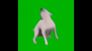 Собака танцует мем футаж (полная версия)