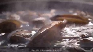 Обзор умной встраиваемой газовой плиты Xiaomi Mijia Intelligent Timing Gas Stove P1 (JZT-MJ03CY)