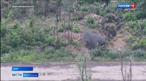 Костромские десантники провели ювелирную операцию под Часовым Яром