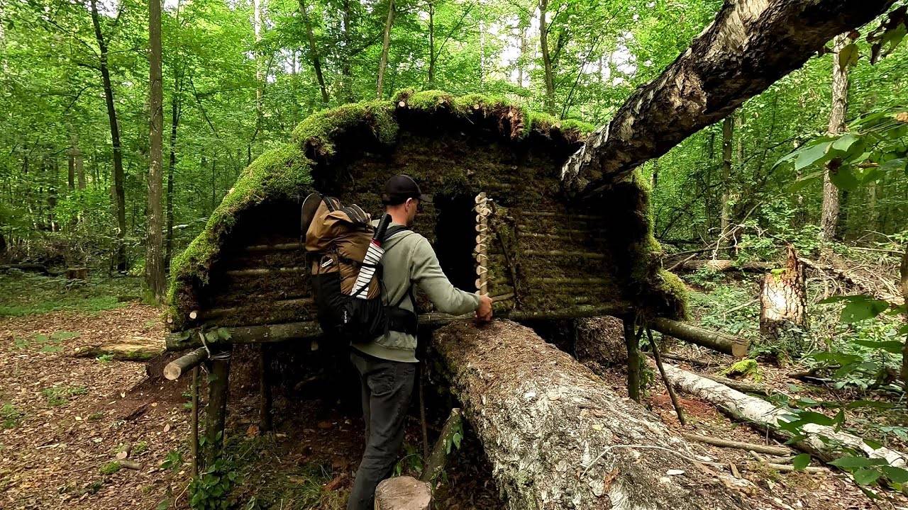 Строим уютное укрытие на стволе поваленного дерева смотреть онлайн