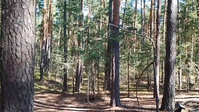 ПРОЙТИ ПО КОНКУРСУ без протекции