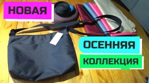 962   КАКУЮ СУМКУ КУПИТЬ? ОБЗОР НОВОЙ ОСЕННЕЙ КОЛЛЕКЦИИ СУМОК Грабли LIVE/ Динская 2025