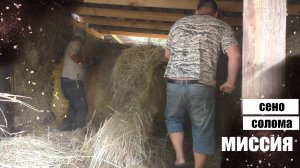 Прячем сено от дождя в дождь