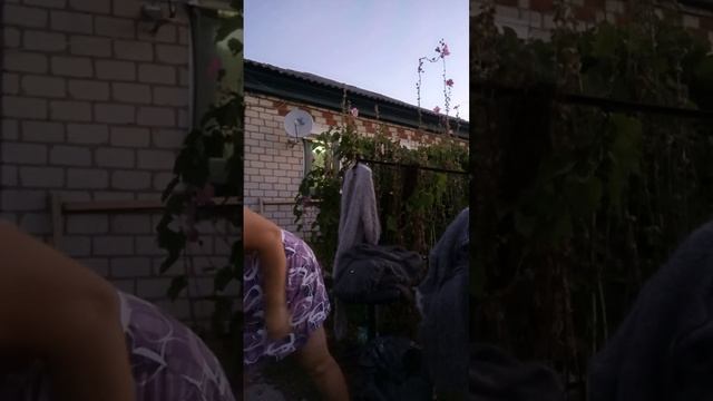 1000189543.mp4 пуховые платочки у Ольги т.89020931602 смотреть онлайн