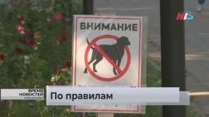 Волгоградцев предупредили о штрафах за «неправильный» выгул братьев наших меньших