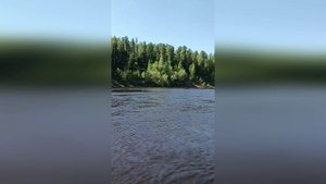 5 модель  Салым - центр речных артерий