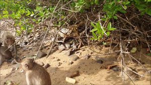 2023-11-16 ТАЙЛАНД: ПАТТАЙЯ (МОРСКАЯ ПРОГУЛКА)