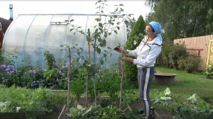 6 соток 17 августа 2025 года. 2 часть