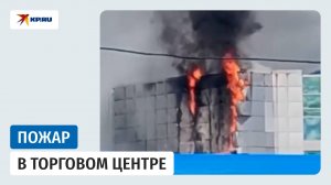 Пожар в ТЦ «Лапландия» в Кемерово сняли на видео очевидцы