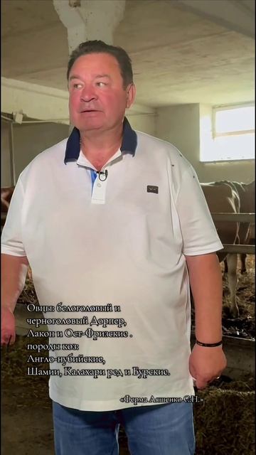 Сегодня у нас в гостях было телевидение. Сергей Николаевич отвечал на все интересующиеся вопросы. смотреть онлайн