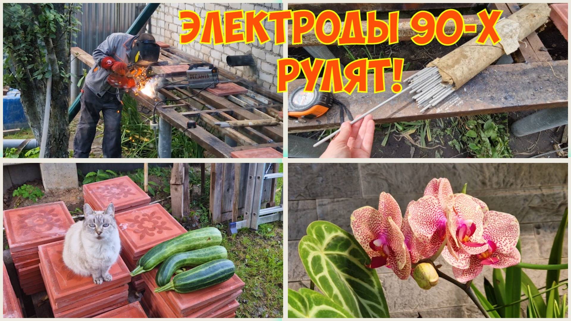 Строим веранду, сварочные работы. Шуршу по хозяйству. Оранжерея начинает благоухать, обход цветов.