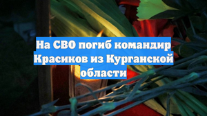На СВО погиб командир Красиков из Курганской области