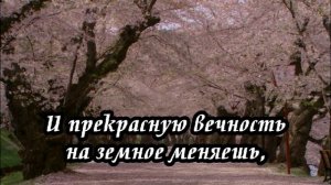Ксения Лапицкая - В этот вечер Спаситель(-)
