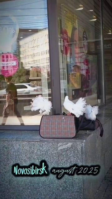 Прогулка по городу Н-ск, часть 2 смотреть онлайн