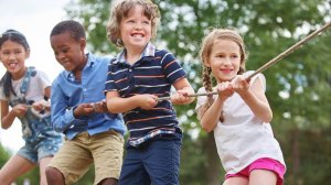 Эффект Рингельмана