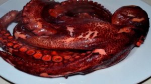 Жареные осьминоги