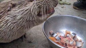 Как будто ничего и не заметил!)