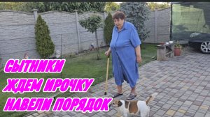 САМВЕЛ АДАМЯН, СЫТНИКИ, ЖДЕМ ИРОЧКУ В ГОСТИ, НАВЕЛИ ПОРЯДОК.