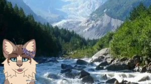 Родословная Шиповницы.