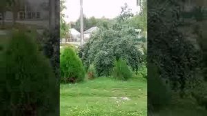 Люди - это вся травля за день