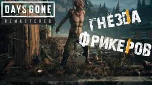 СТРИМ-ГНЁЗДА ФРИКЕРОВ🎮Days Gone Remastered (Постапокалипсис 2)