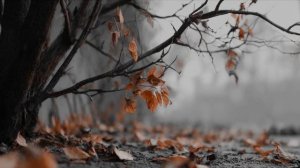 Не хочу я больше.