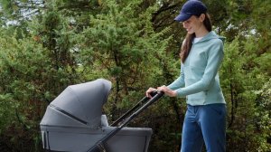 Детская коляска 3 в 1 Inglesina Aptica XT на сайте Inglesina-sale.ru