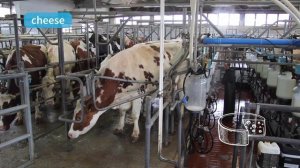 SM2ed Think_learn video L1 U4