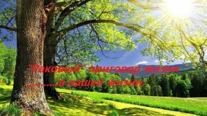 Я болею раком - Год борьбы с раком после рецидива - мои выводы.