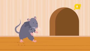 Весёлая зарядка с Жужей: упражнения МЫШИ