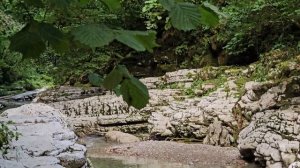 СВЕТ, что ведёт изнутри. Танец любви к жизни. Медитация в движении