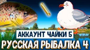 Rf4 отправили карповое удилище из чата, виды чаек в рр4 #рр4