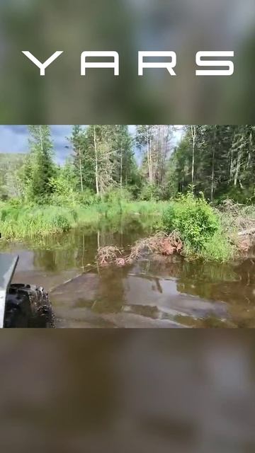 Yars идет по лесу смотреть онлайн