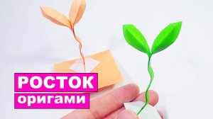 Оригами Росток из бумаги. Простое оригами растение из бумаги