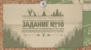 Заповедные каникулы _ 10 задание