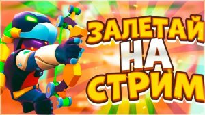 Пуш Кубков: Nulls brawl|Нулс бравл