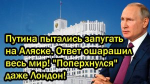 Путина пытались запугать на Аляске. Ответ ошарашил весь мир! Поперхнулся даже Лондон!