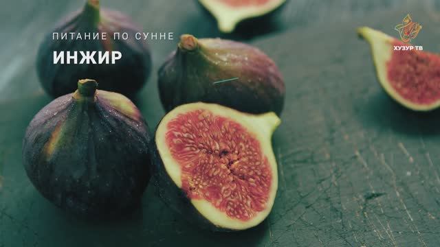 Инжир | Питание по сунне