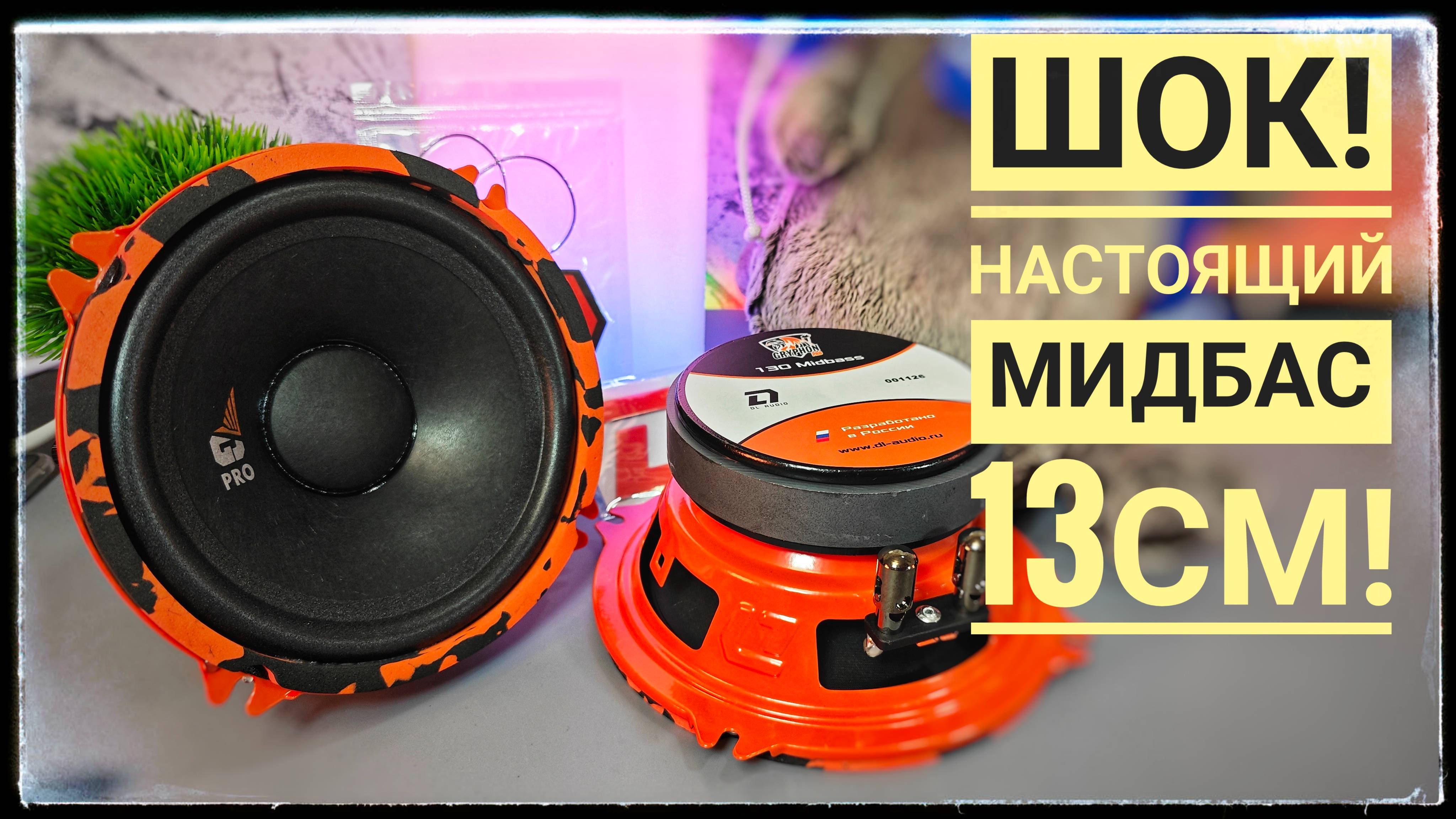 Эта новинка шокировала меня! Обзор DL Audio Gryphon Pro 130 Midbass