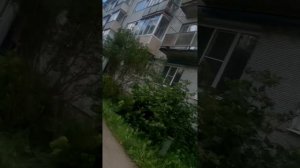 Экскурсия по деревне Сырково