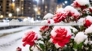 DJ Appolon cover Кристина corp. - Снег на розах